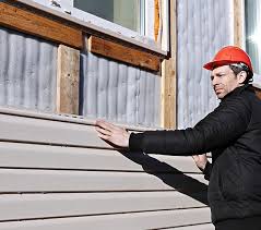 Best Siding Painting and Refinishing  in Willard, MO